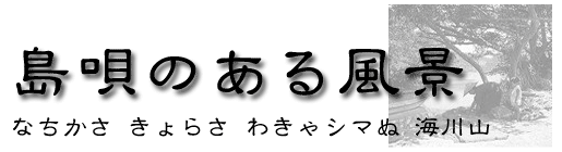 ���S�̂��镗�i