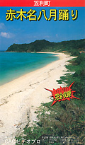 赤木名八月踊り