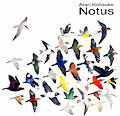 Notus　ノトス　中 孝介