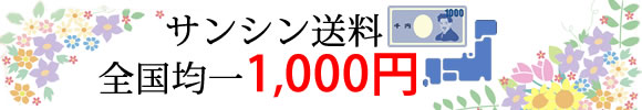 サンシン送料全国均一1,000円