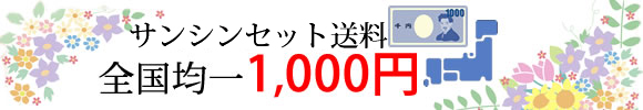 サンシンセット送料全国均一1,000円