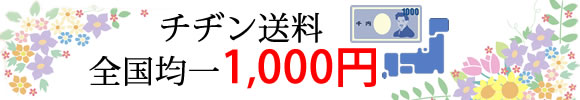 チヂン送料全国均一1,000円